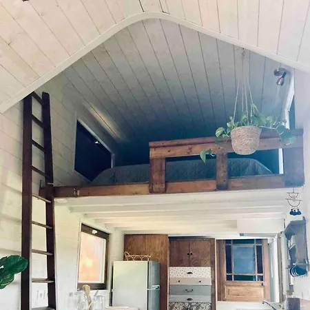 Tiny Paradis